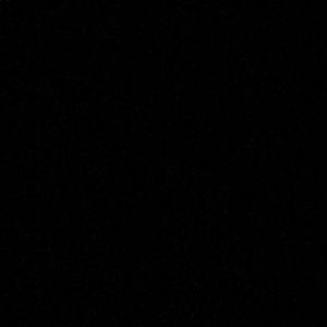 Meet your Posher, Ieishia